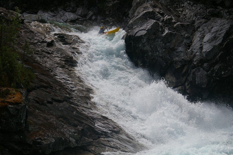 IMGP3441